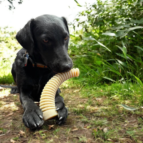 Jouet en  Nylon bois de cerf
